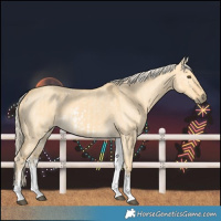 Horse Color:White Spotted Palomino Dun Rabicano  and White Spotted Palomino Dun Rabicano 