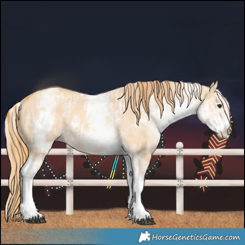 Horse Color:White Spotted Red Dun Rabicano and White Spotted Gold Champagne Dun Rabicano