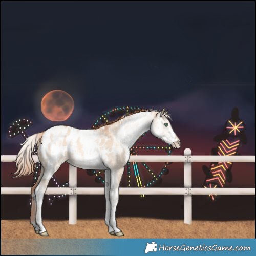Horse Color:White Spotted Gold Champagne Dun Blanket
