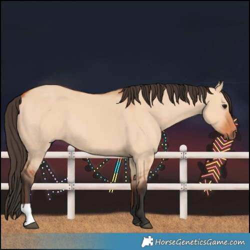 Horse Color:Bay Dun