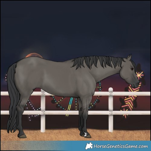 Horse Color:Grullo 