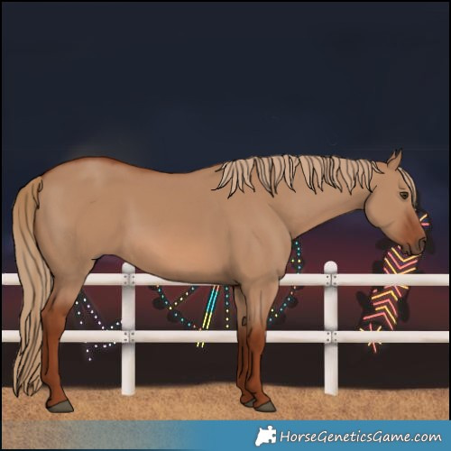 Horse Color:Red Dun