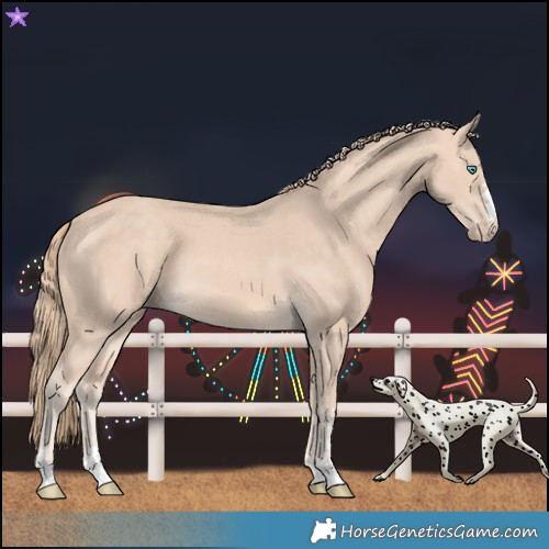 Horse Color:Perlino 
