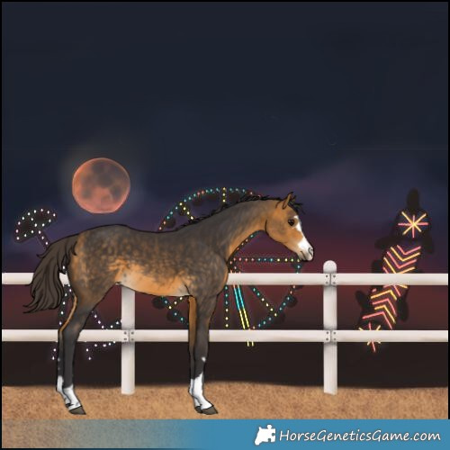 Horse Color:Buckskin Rabicano 