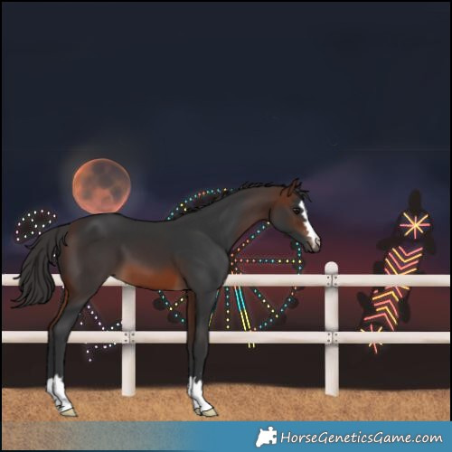 Horse Color:Brown 