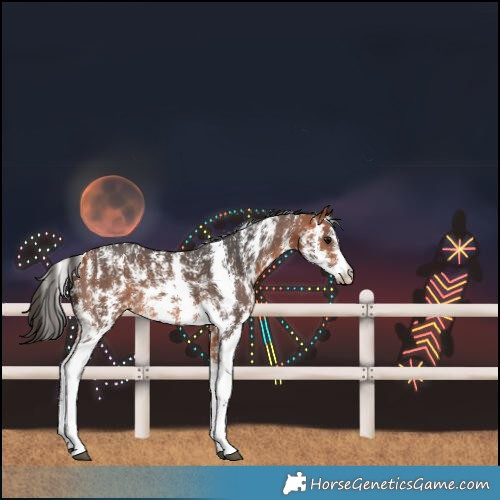 Horse Color:Bay Sabino Rabicano