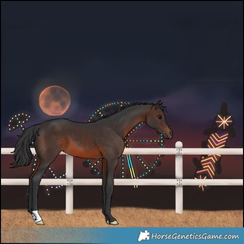 Horse Color:Brown 