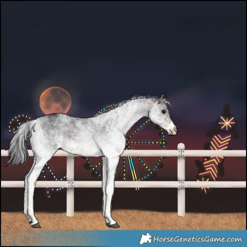 Horse Color:White Spotted Brown Rabicano