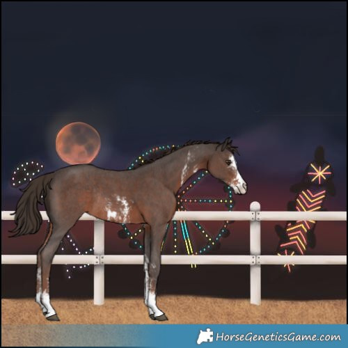 Horse Color:Liver Chestnut Sabino Rabicano