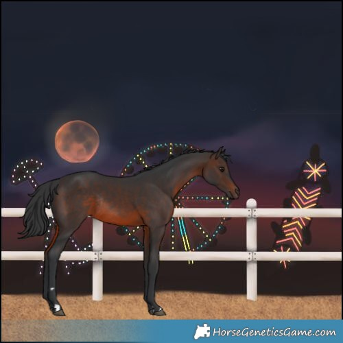 Horse Color:Brown Rabicano 