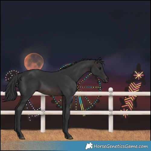 Horse Color:Brown 