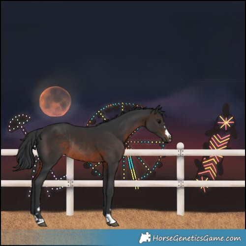 Horse Color:Brown Rabicano