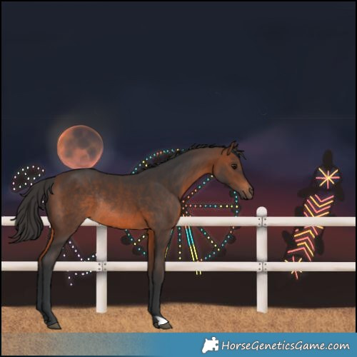 Horse Color:Brown Rabicano