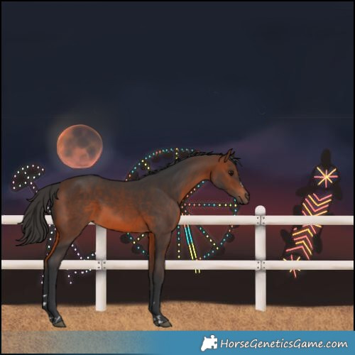 Horse Color:Brown 