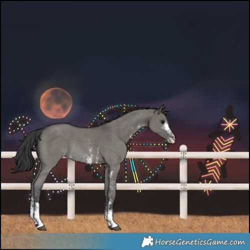 Horse Color:Grullo Sabino Rabicano 