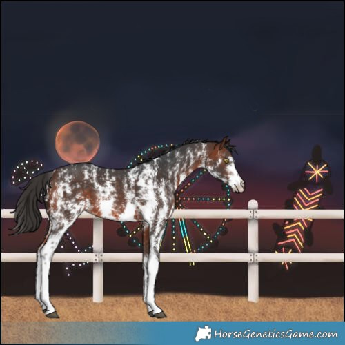 Horse Color:Bay Sabino Rabicano 
