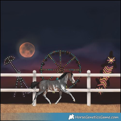 Horse Color:Brown Sabino Skewed LP Spotted 