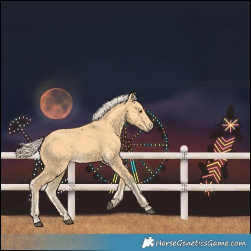 Horse Color:Palomino 