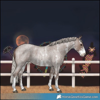 Horse Color:Silver Blue Roan Sabino 