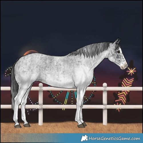 Horse Color:White Spotted Blue Roan Rabicano  and White Spotted Blue Roan Splash Rabicano 