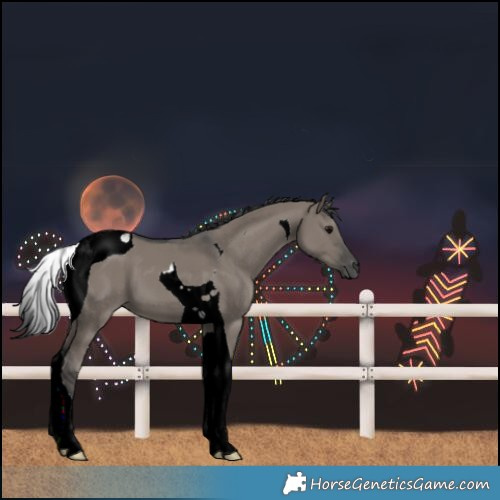 Horse Color:Grullo Tobiano 