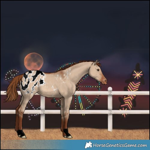 Horse Color:Red Dun Blanket 