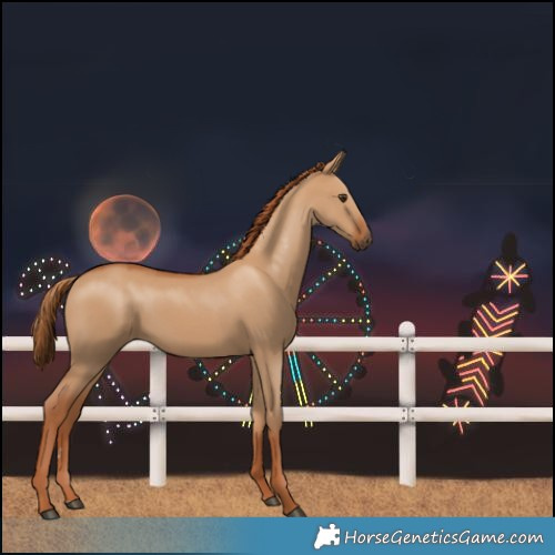 Horse Color:Red Dun 