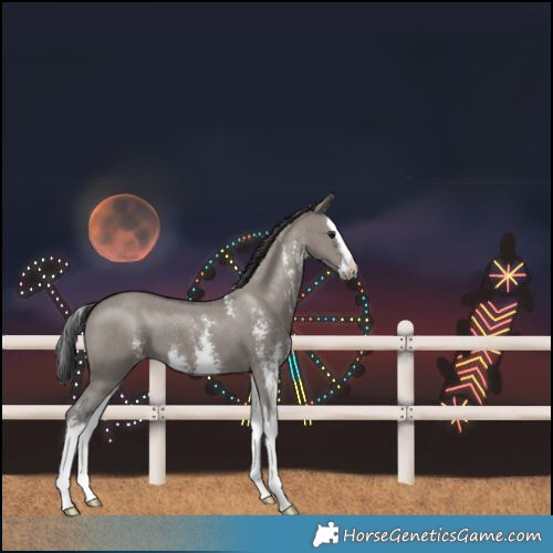 Horse Color:Smoky Grullo Sabino Splash 
