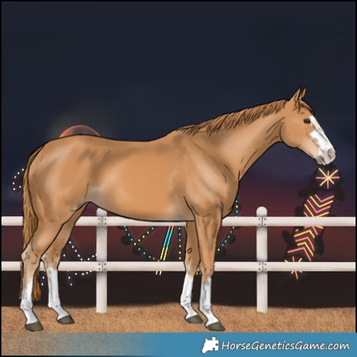 Horse Color:Chestnut and Chestnut
