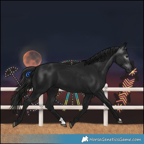 Horse Color:Gray Black 