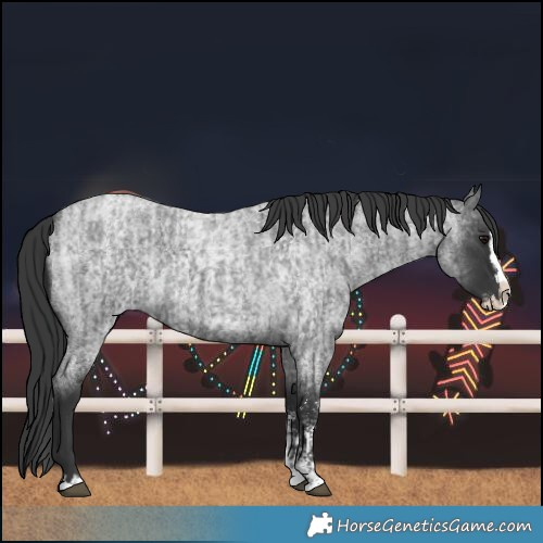 Horse Color:Blue Roan Sabino Splash and Blue Roan Sabino Splash