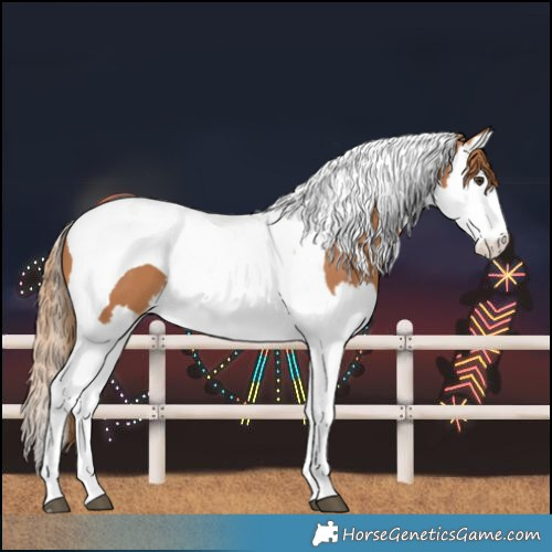 Horse Color:Chestnut Splash Tobiano Varnish 