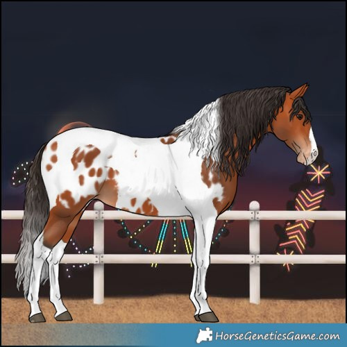 Horse Color:Bay Tobiano Near Leopard 