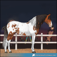 Horse Color:Bay Tobiano Near Leopard 
