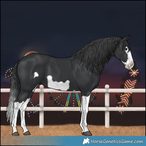 Horse Color:Black Splash Frame 