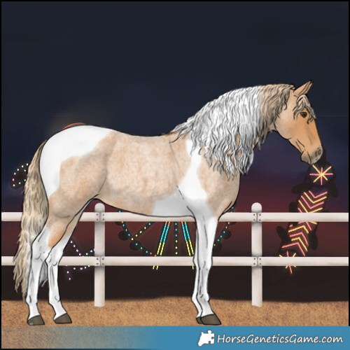 Horse Color:Red Roan Tobiano 