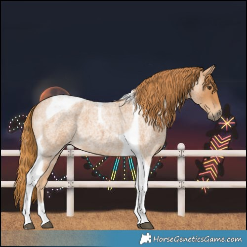 Horse Color:Red Roan Tobiano 