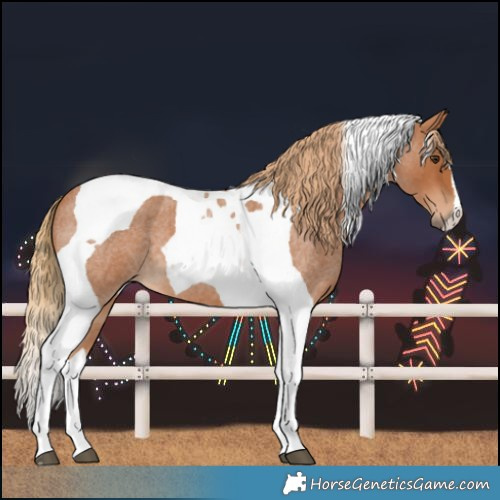 Horse Color:Red Roan Tobiano
