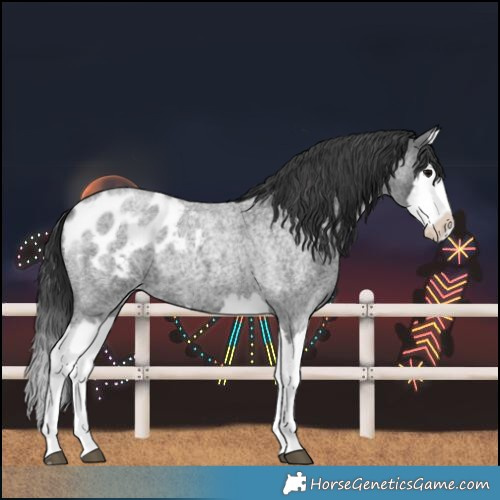 Horse Color:Blue Roan Splash Blanket
