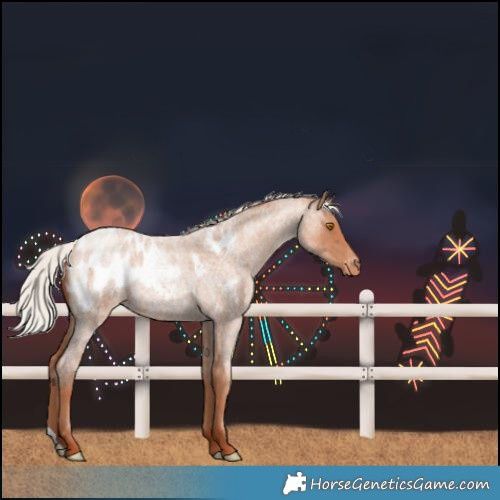 Horse Color:Silver Classic Champagne Roan Blanket