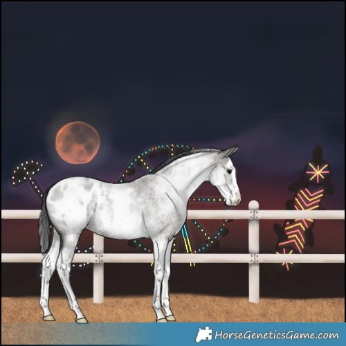 Horse Color:White Spotted Grullo Roan Splash Blanket