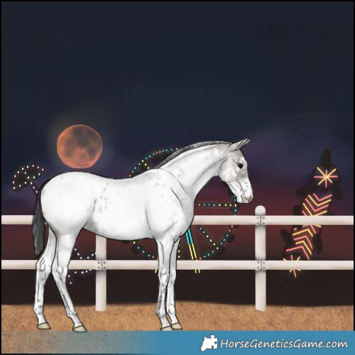 Horse Color:White Spotted Grullo Roan Near Leopard Rabicano