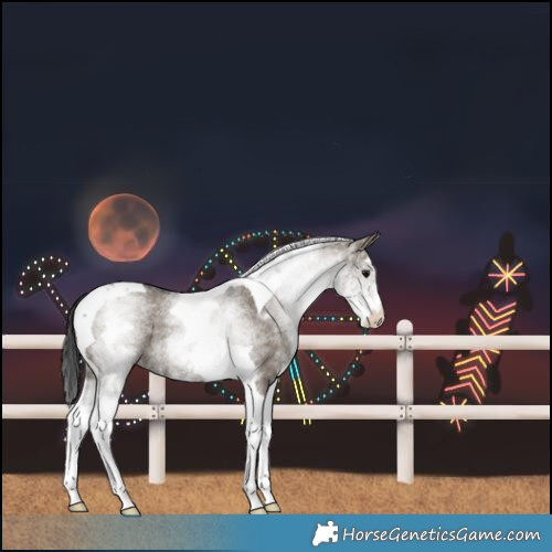 Horse Color:White Spotted Grullo Tobiano Rabicano 