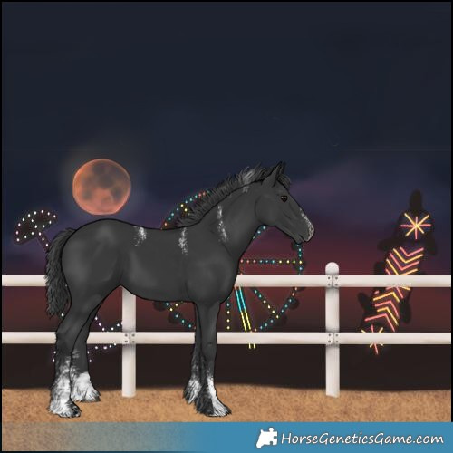 Horse Color:Powder White Black 