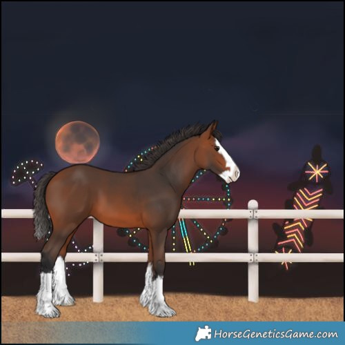 Horse Color:Bay Splash