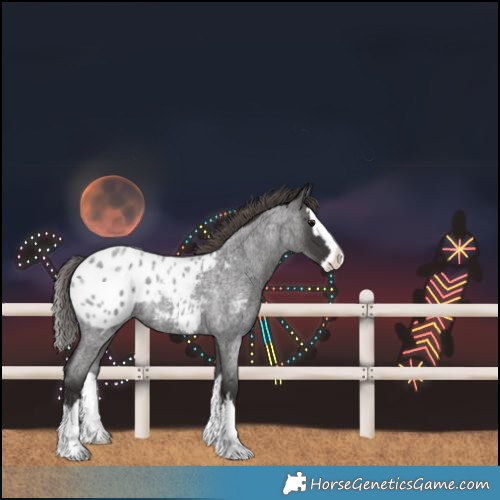 Horse Color:Smoky Blue Roan Splash Blanket 