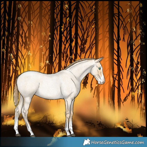 Horse Color:Powder White Smoky Blue Roan Snowdrop Splash 