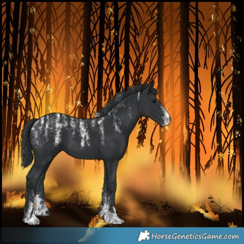 Horse Color:Powder White Black
