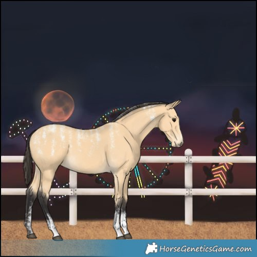Horse Color:Powder White Buckskin