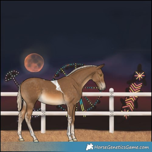 Horse Color:Chocolate Palomino Tobiano Rabicano 